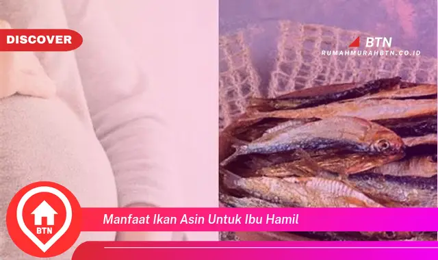 manfaat ikan asin untuk ibu hamil