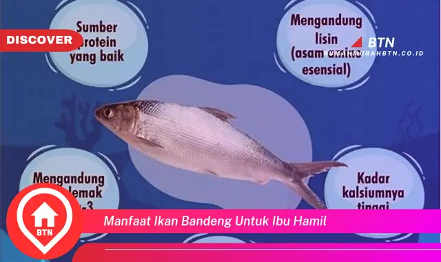 manfaat ikan bandeng untuk ibu hamil