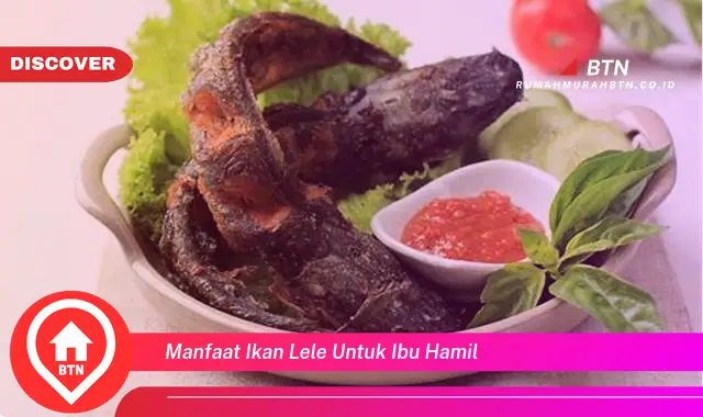 manfaat ikan lele untuk ibu hamil