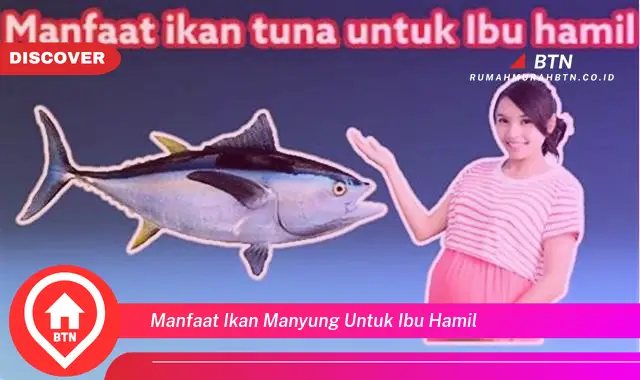 manfaat ikan manyung untuk ibu hamil