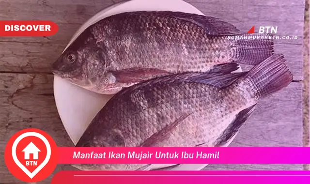 manfaat ikan mujair untuk ibu hamil