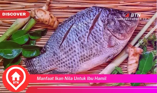 manfaat ikan nila untuk ibu hamil