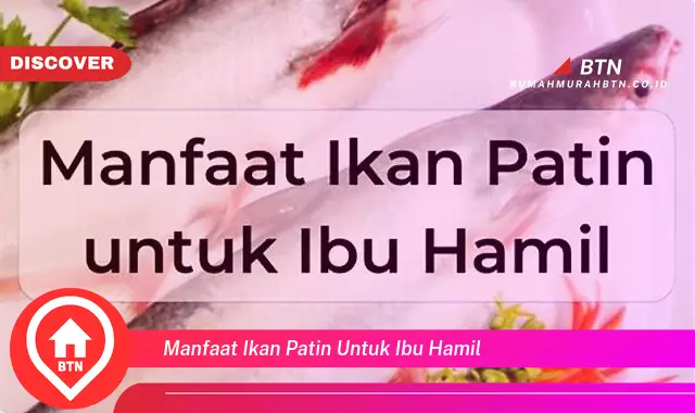 manfaat ikan patin untuk ibu hamil