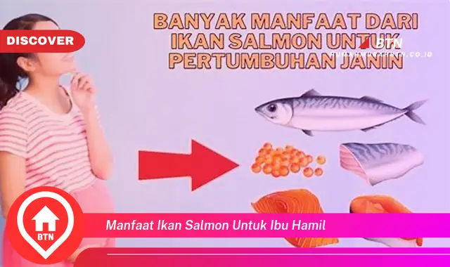 manfaat ikan salmon untuk ibu hamil