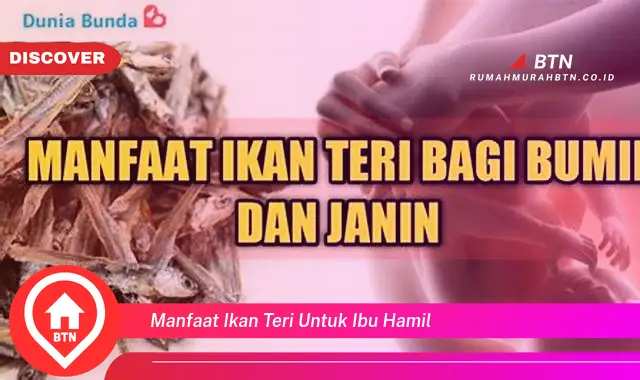 manfaat ikan teri untuk ibu hamil