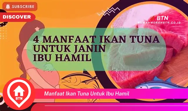 manfaat ikan tuna untuk ibu hamil