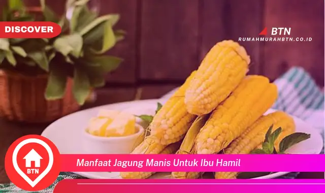 manfaat jagung manis untuk ibu hamil