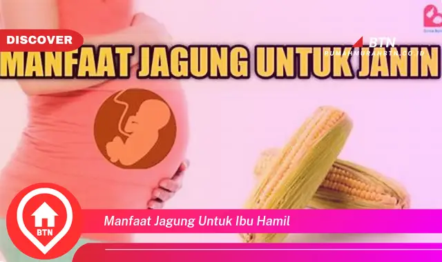 manfaat jagung untuk ibu hamil