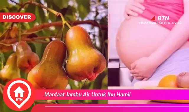 manfaat jambu air untuk ibu hamil