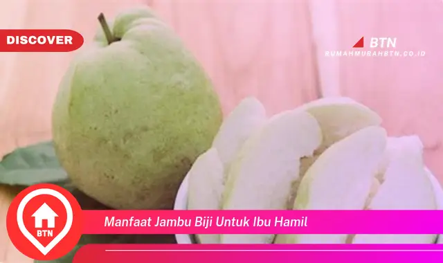 manfaat jambu biji untuk ibu hamil