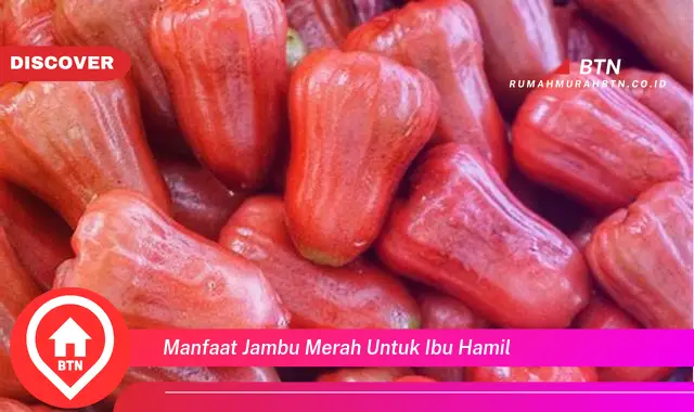 manfaat jambu merah untuk ibu hamil