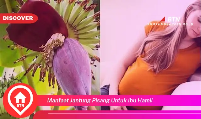 manfaat jantung pisang untuk ibu hamil