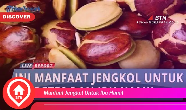 manfaat jengkol untuk ibu hamil