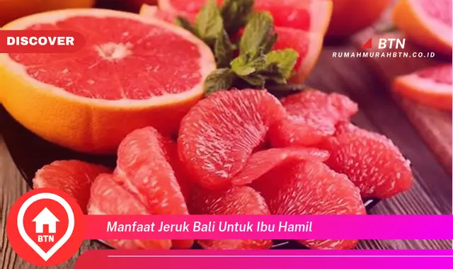 manfaat jeruk bali untuk ibu hamil