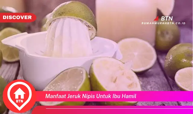 manfaat jeruk nipis untuk ibu hamil