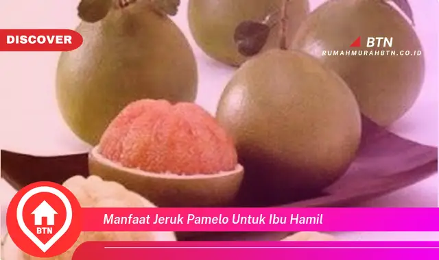 manfaat jeruk pamelo untuk ibu hamil