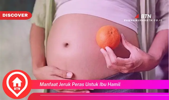 manfaat jeruk peras untuk ibu hamil