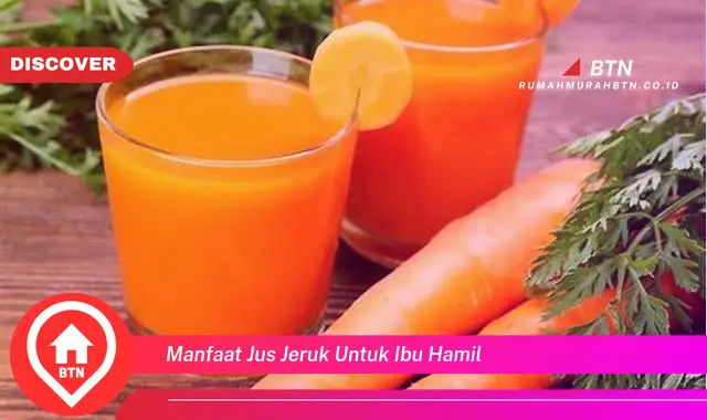 manfaat jus jeruk untuk ibu hamil