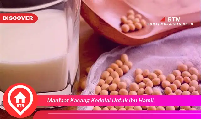 manfaat kacang kedelai untuk ibu hamil