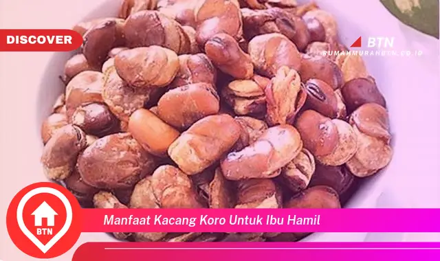 manfaat kacang koro untuk ibu hamil