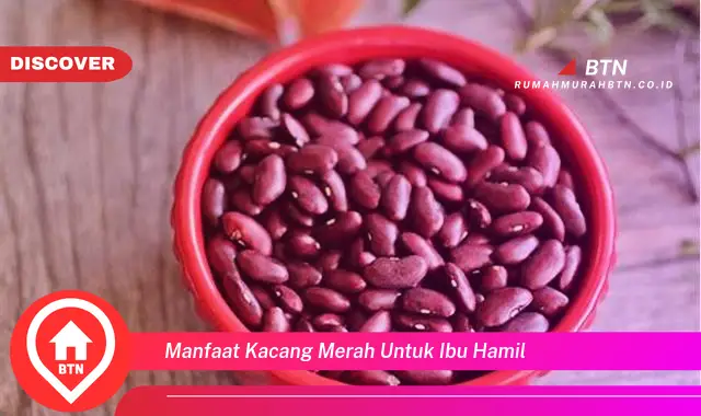 manfaat kacang merah untuk ibu hamil