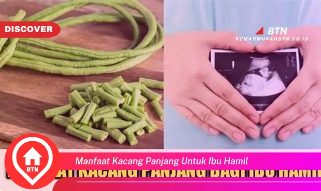 manfaat kacang panjang untuk ibu hamil