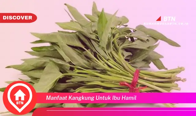 manfaat kangkung untuk ibu hamil