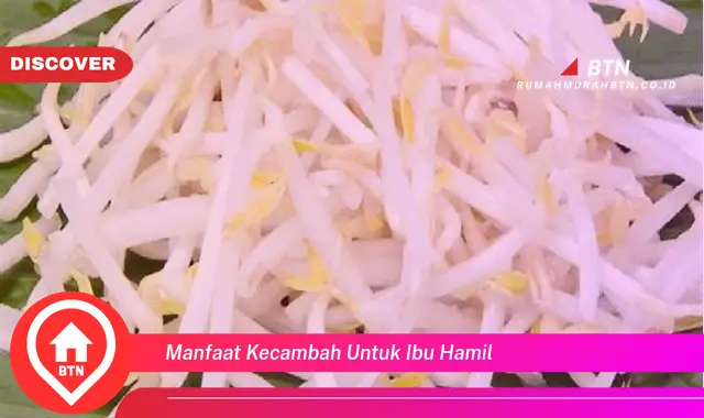 manfaat kecambah untuk ibu hamil