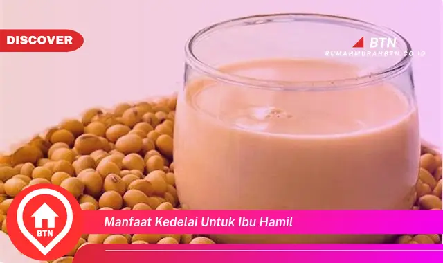 manfaat kedelai untuk ibu hamil