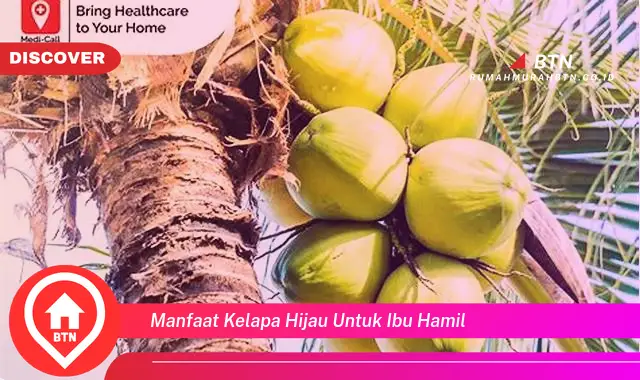 manfaat kelapa hijau untuk ibu hamil