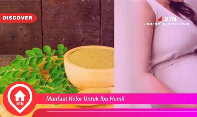 manfaat kelor untuk ibu hamil