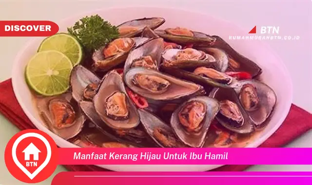 manfaat kerang hijau untuk ibu hamil