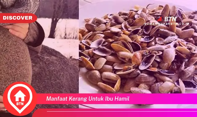 manfaat kerang untuk ibu hamil