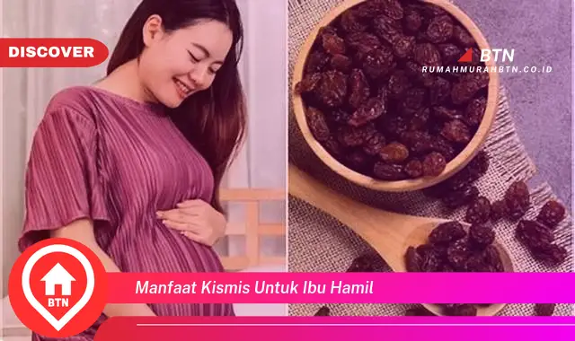 manfaat kismis untuk ibu hamil