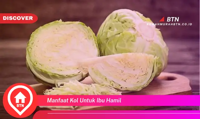 manfaat kol untuk ibu hamil