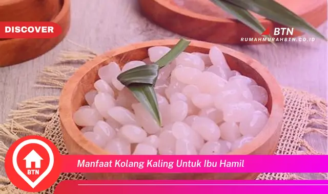 manfaat kolang kaling untuk ibu hamil