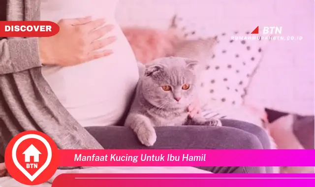 manfaat kucing untuk ibu hamil