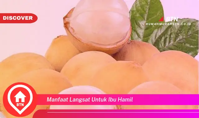 manfaat langsat untuk ibu hamil