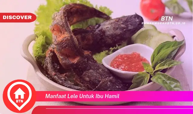 manfaat lele untuk ibu hamil