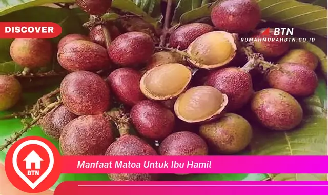 manfaat matoa untuk ibu hamil