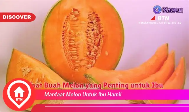 manfaat melon untuk ibu hamil