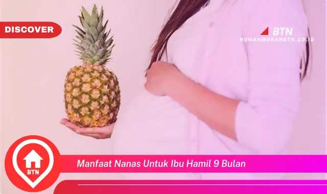 manfaat nanas untuk ibu hamil 9 bulan