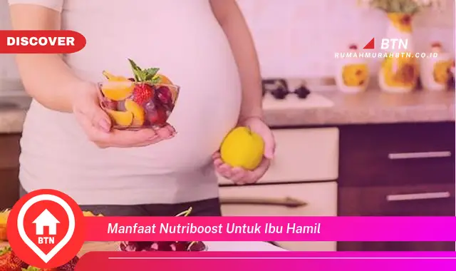 manfaat nutriboost untuk ibu hamil