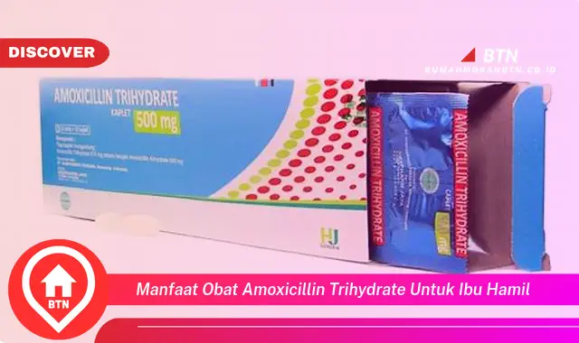 manfaat obat amoxicillin trihydrate untuk ibu hamil