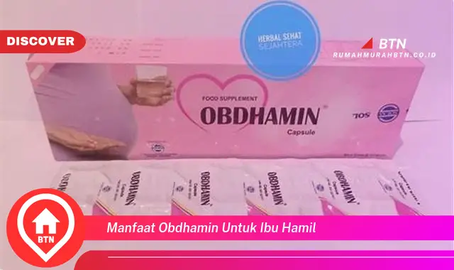 manfaat obdhamin untuk ibu hamil