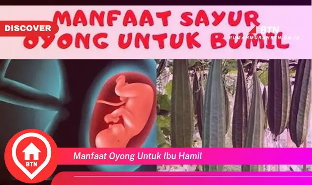 manfaat oyong untuk ibu hamil