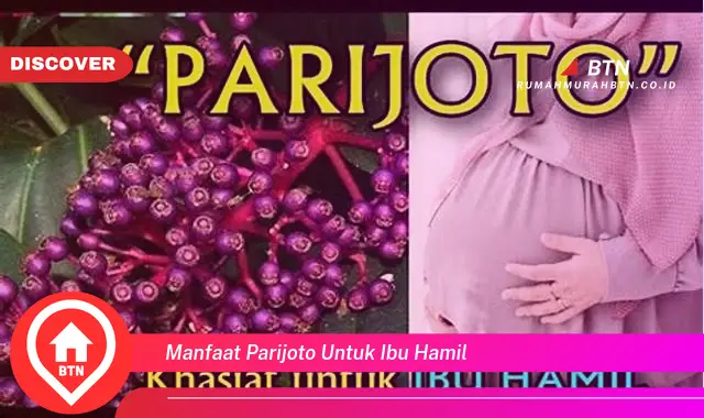 manfaat parijoto untuk ibu hamil