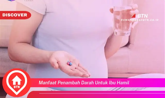 manfaat penambah darah untuk ibu hamil