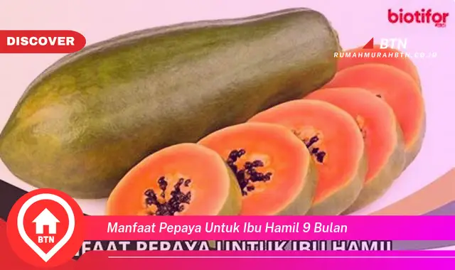 manfaat pepaya untuk ibu hamil 9 bulan