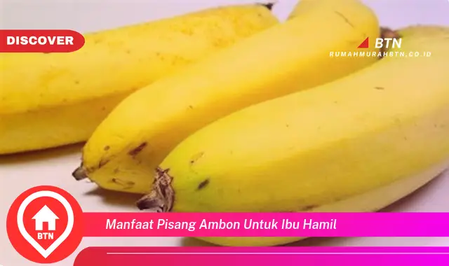 manfaat pisang ambon untuk ibu hamil